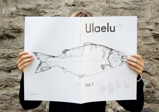 01_EDA_ulaelu_A4.jpg