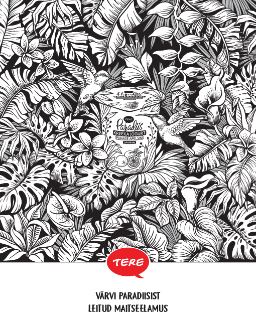 Tere_Paradiis__Buduaar_170x225_5mm.pdf