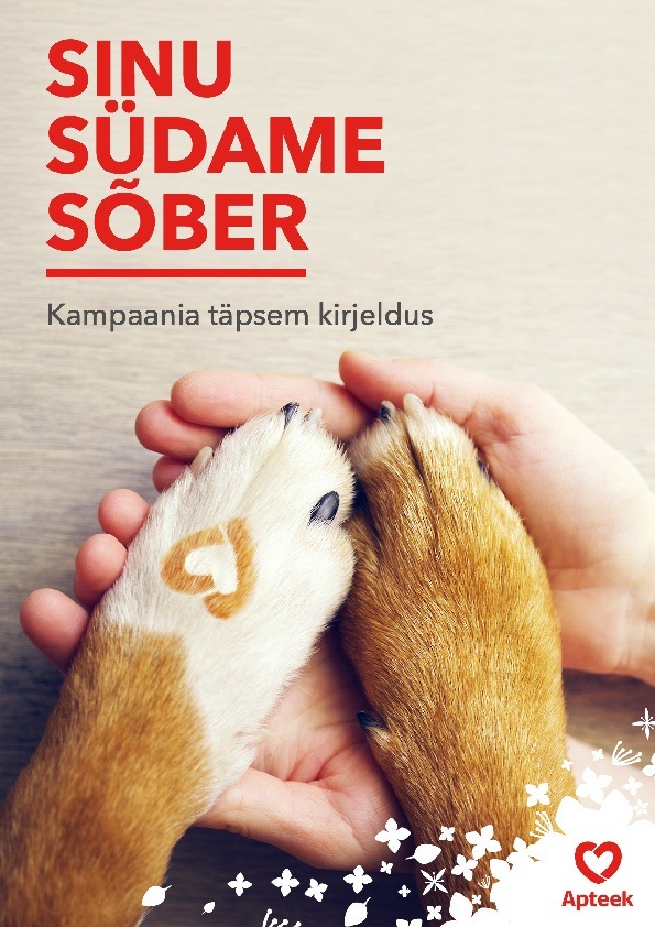 SA_sydames6ber_kirjeldus.pdf