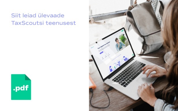 TaxScouts-presentation.pdf