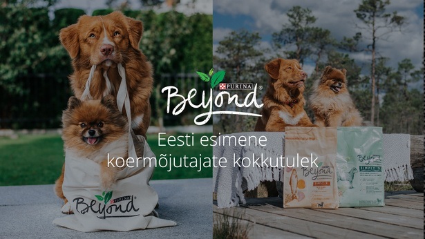 Purina_Beyond-case-study.jpg