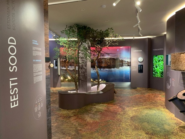 Eesti-sood-1.jpg