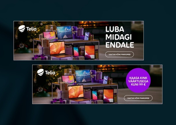 TELIA_LUBAENDALE_NAIDISPINNAD-01.jpg