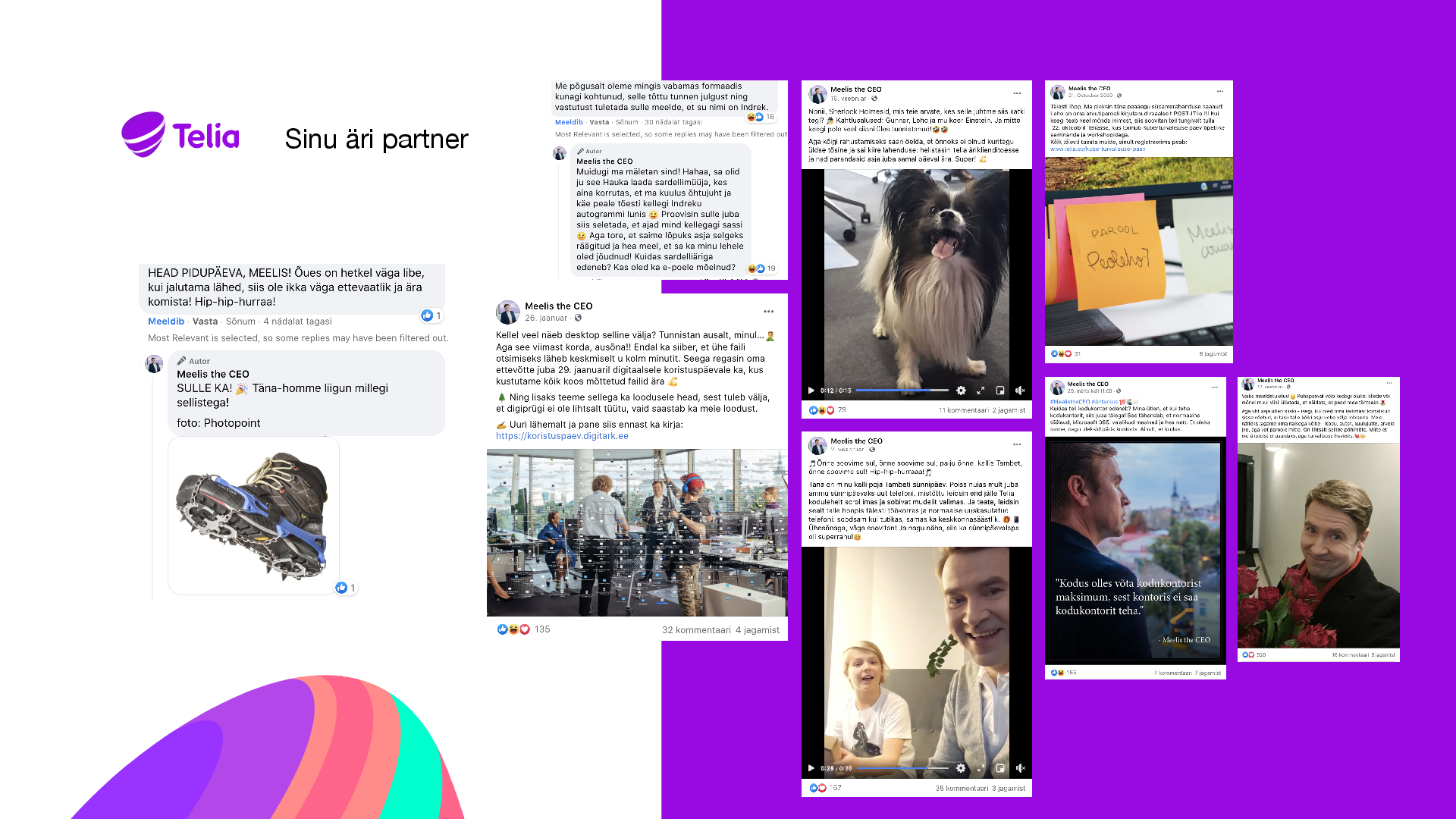 meelis_the_ceo_case_2.pdf