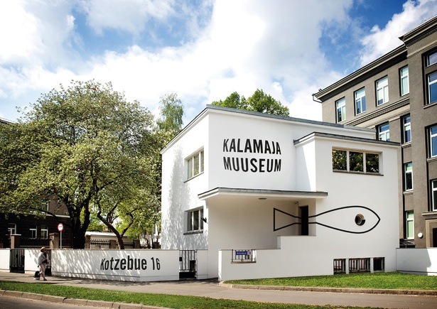 Kuldmuna_2022_Korporatiivne_branding_Kalamaja_Muuseum_02.jpg