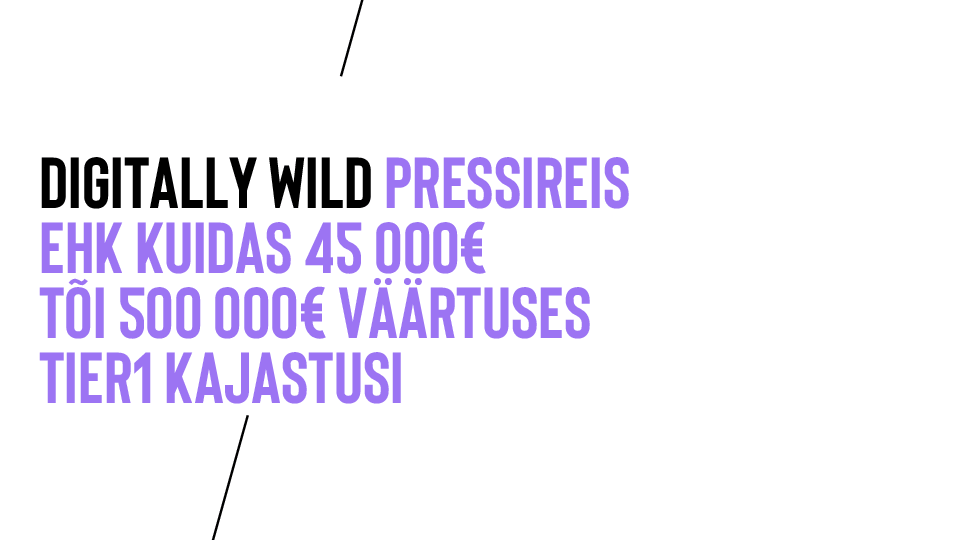 DigitallyWild_pressireis2021_compressed.pdf