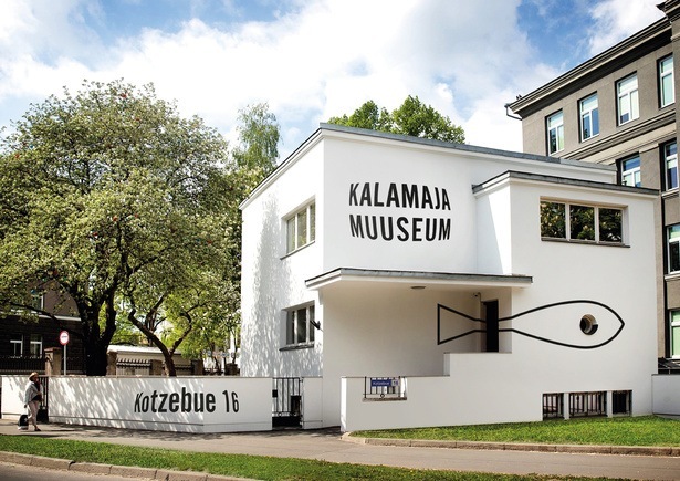 Kuldmuna_2022_Keskkonnadisain_Kalamaja_Muuseum_01.jpg
