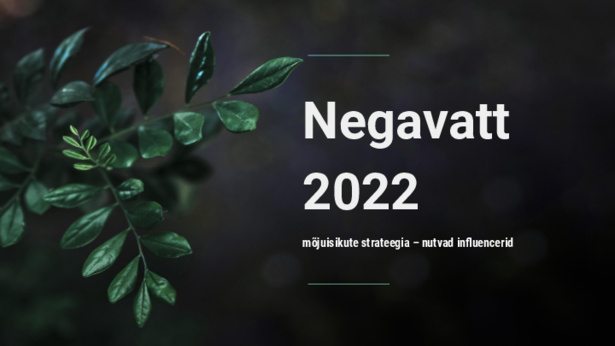 6.7__NEGAVATT_mõjuisikud.pdf