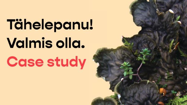 01_Samblikud_case_est_eng.pdf