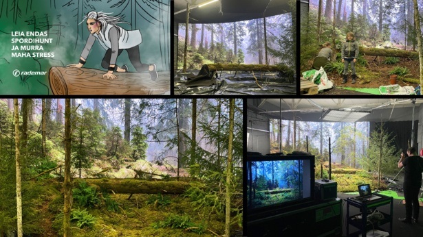 Rademar_murrastress_case.pdf