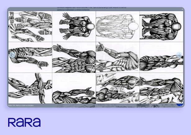 RaRa_KM24_PRkampaania_IV.pdf