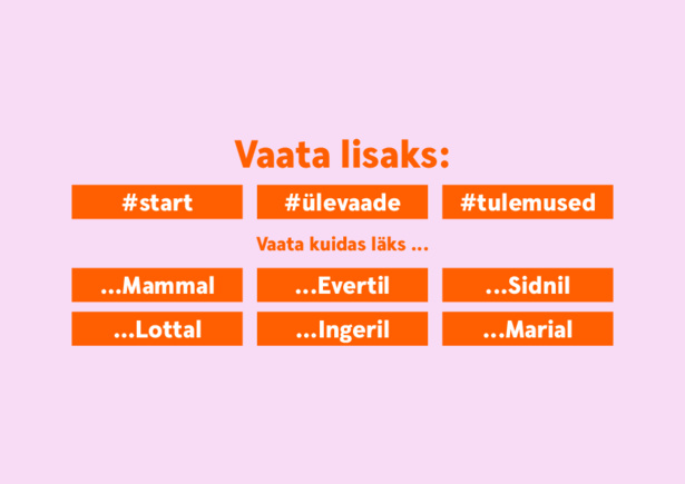 Vaata_lisaks.pdf