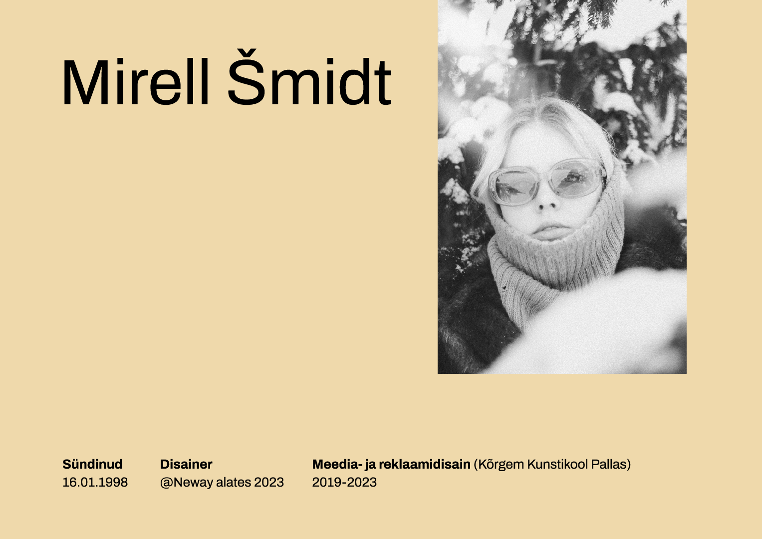 Mirell-Smidt_Noor-Pyss-24_portfoolio.pdf